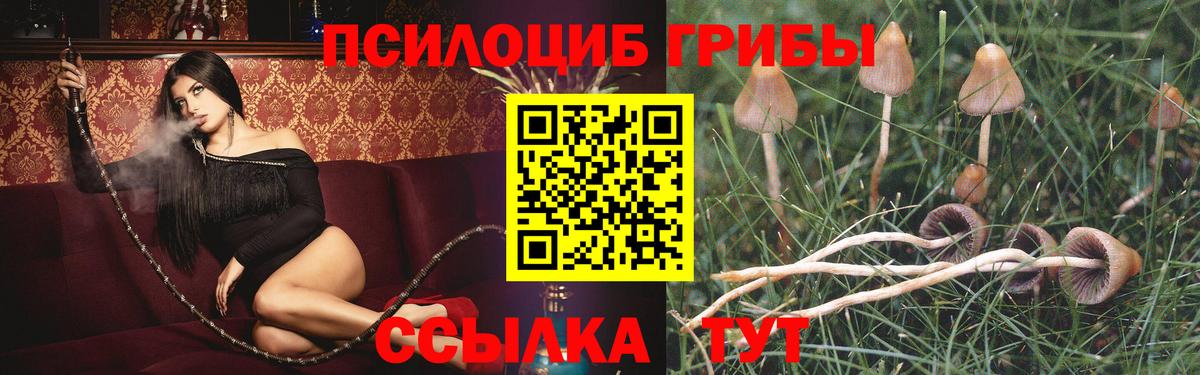 Рязань  Галлюциногенные грибы Cubensis  Галлюциногенные грибы мухоморы  Вход с VPN 